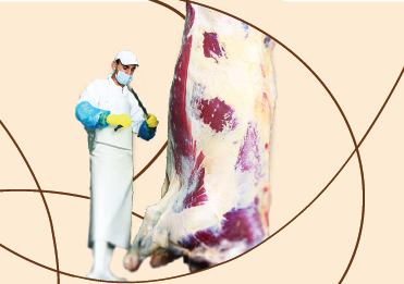 mt-home-prev-slaughter